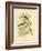 Yellow-Breasted Robin or Eastern Yellow Robin, 1891-Gracius Broinowski-Framed Giclee Print