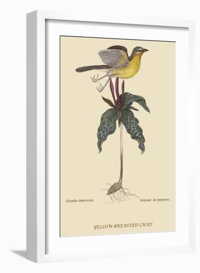 Yellow Breatsed Chat-Mark Catesby-Framed Art Print