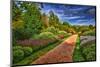 Yellow Brick Road-Robert Lott-Mounted Art Print