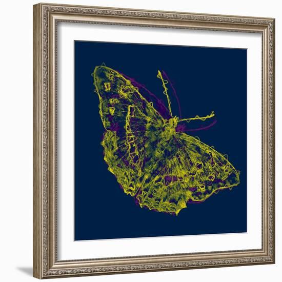 Yellow Butterfly,2020,(Mixed Media)-Alex Caminker-Framed Giclee Print