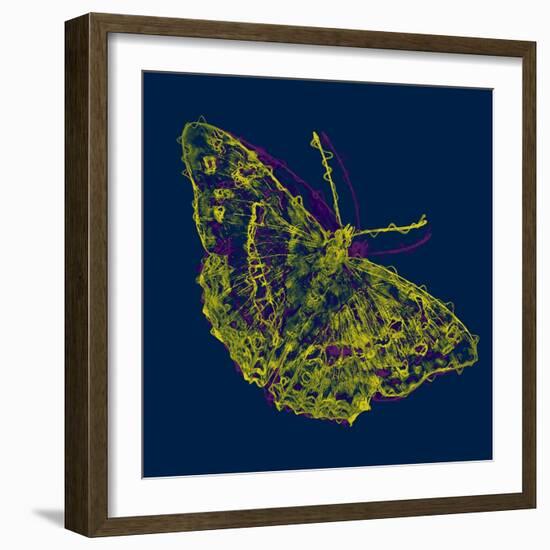Yellow Butterfly,2020,(Mixed Media)-Alex Caminker-Framed Giclee Print