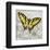 Yellow Butterfly-Alan Hopfensperger-Framed Premium Giclee Print
