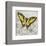 Yellow Butterfly-Alan Hopfensperger-Framed Art Print