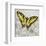 Yellow Butterfly-Alan Hopfensperger-Framed Art Print