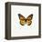 Yellow Butterfly-PhotoINC-Framed Premier Image Canvas