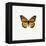 Yellow Butterfly-PhotoINC-Framed Premier Image Canvas