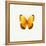 Yellow Butterfly-PhotoINC-Framed Premier Image Canvas