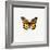 Yellow Butterfly-PhotoINC-Framed Photographic Print