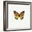 Yellow Butterfly-PhotoINC-Framed Photographic Print