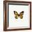 Yellow Butterfly-PhotoINC-Framed Photographic Print