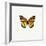 Yellow Butterfly-PhotoINC-Framed Photographic Print