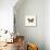 Yellow Butterfly-PhotoINC-Mounted Photographic Print displayed on a wall
