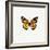 Yellow Butterfly-PhotoINC-Framed Photographic Print