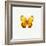 Yellow Butterfly-PhotoINC-Framed Photographic Print