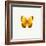 Yellow Butterfly-PhotoINC-Framed Photographic Print