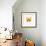 Yellow Butterfly-PhotoINC-Framed Photographic Print displayed on a wall