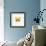 Yellow Butterfly-PhotoINC-Framed Photographic Print displayed on a wall