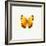 Yellow Butterfly-PhotoINC-Framed Photographic Print