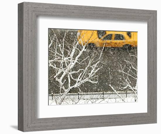 Yellow cab on Park Avenue in a snowstorm-Bo Zaunders-Framed Photographic Print