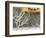 Yellow cab on Park Avenue in a snowstorm-Bo Zaunders-Framed Photographic Print