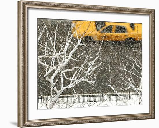 Yellow cab on Park Avenue in a snowstorm-Bo Zaunders-Framed Photographic Print