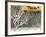 Yellow cab on Park Avenue in a snowstorm-Bo Zaunders-Framed Photographic Print