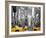 Yellow Cabs, Times Square-Igor Maloratsky-Framed Art Print