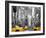 Yellow Cabs, Times Square-Igor Maloratsky-Framed Art Print