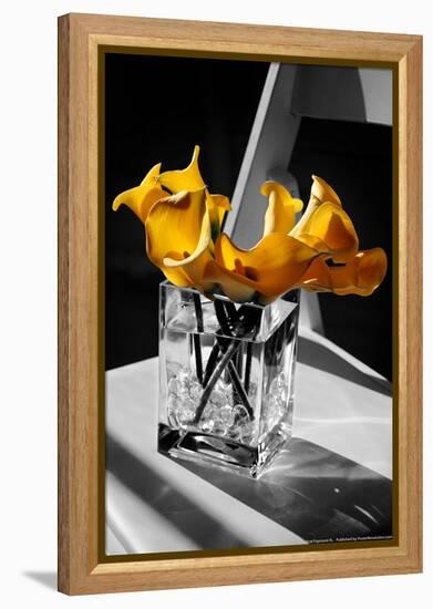 Yellow Calla Lilies in Vase-null-Framed Stretched Canvas