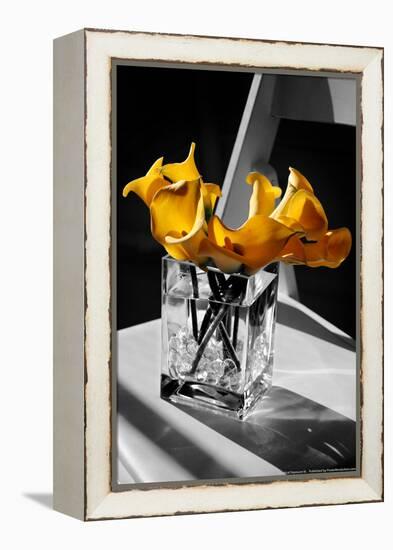 Yellow Calla Lilies in Vase-null-Framed Stretched Canvas