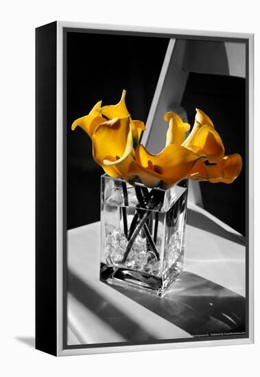 Yellow Calla Lilies in Vase-null-Framed Stretched Canvas