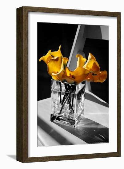 Yellow Calla Lilies in Vase-null-Framed Photo