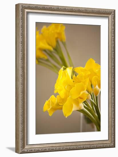 Yellow Calla Lilies-Karyn Millet-Framed Photographic Print