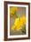 Yellow Calla Lilies-Karyn Millet-Framed Photographic Print