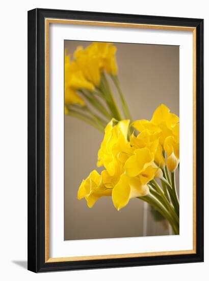 Yellow Calla Lilies-Karyn Millet-Framed Photographic Print