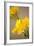 Yellow Calla Lilies-Karyn Millet-Framed Photographic Print