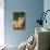 Yellow Cat Sitting on Cobblestone-DLILLC-Photographic Print displayed on a wall