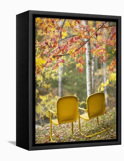 Yellow Chairs and Fall Foliage-Owaki - Kulla-Framed Premier Image Canvas