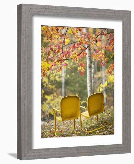 Yellow Chairs and Fall Foliage-Owaki - Kulla-Framed Photographic Print