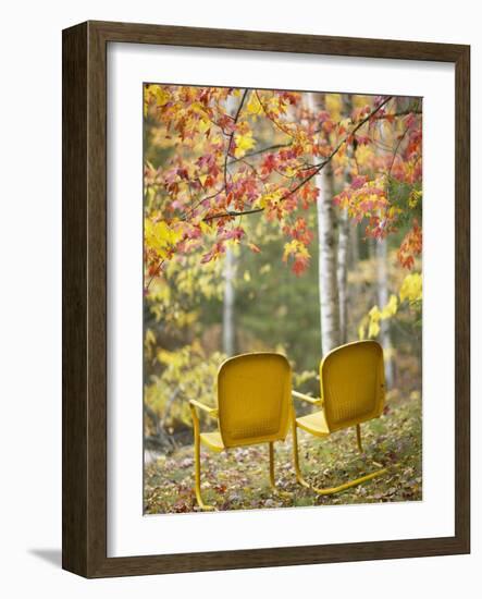 Yellow Chairs and Fall Foliage-Owaki - Kulla-Framed Photographic Print