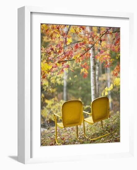 Yellow Chairs and Fall Foliage-Owaki - Kulla-Framed Photographic Print