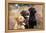 Yellow, Chocolate and Black Labradors-null-Framed Premier Image Canvas