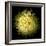 Yellow Chrysanthemum 1-Magda Indigo-Framed Photographic Print