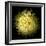 Yellow Chrysanthemum 1-Magda Indigo-Framed Photographic Print