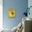 Yellow Circle-Laszlo Moholy-Nagy-Giclee Print displayed on a wall