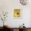 Yellow Circle-Laszlo Moholy-Nagy-Framed Giclee Print displayed on a wall