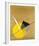 Yellow Circle-Laszlo Moholy-Nagy-Framed Giclee Print