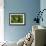 Yellow Clownfish On Green Anemon-Barathieu Gabriel-Framed Giclee Print displayed on a wall