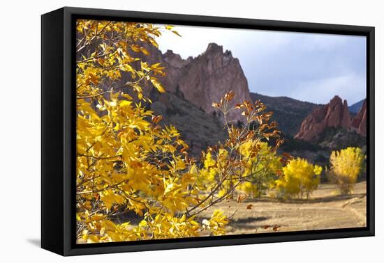 Yellow Colorado-duallogic-Framed Premier Image Canvas