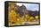 Yellow Colorado-duallogic-Framed Premier Image Canvas